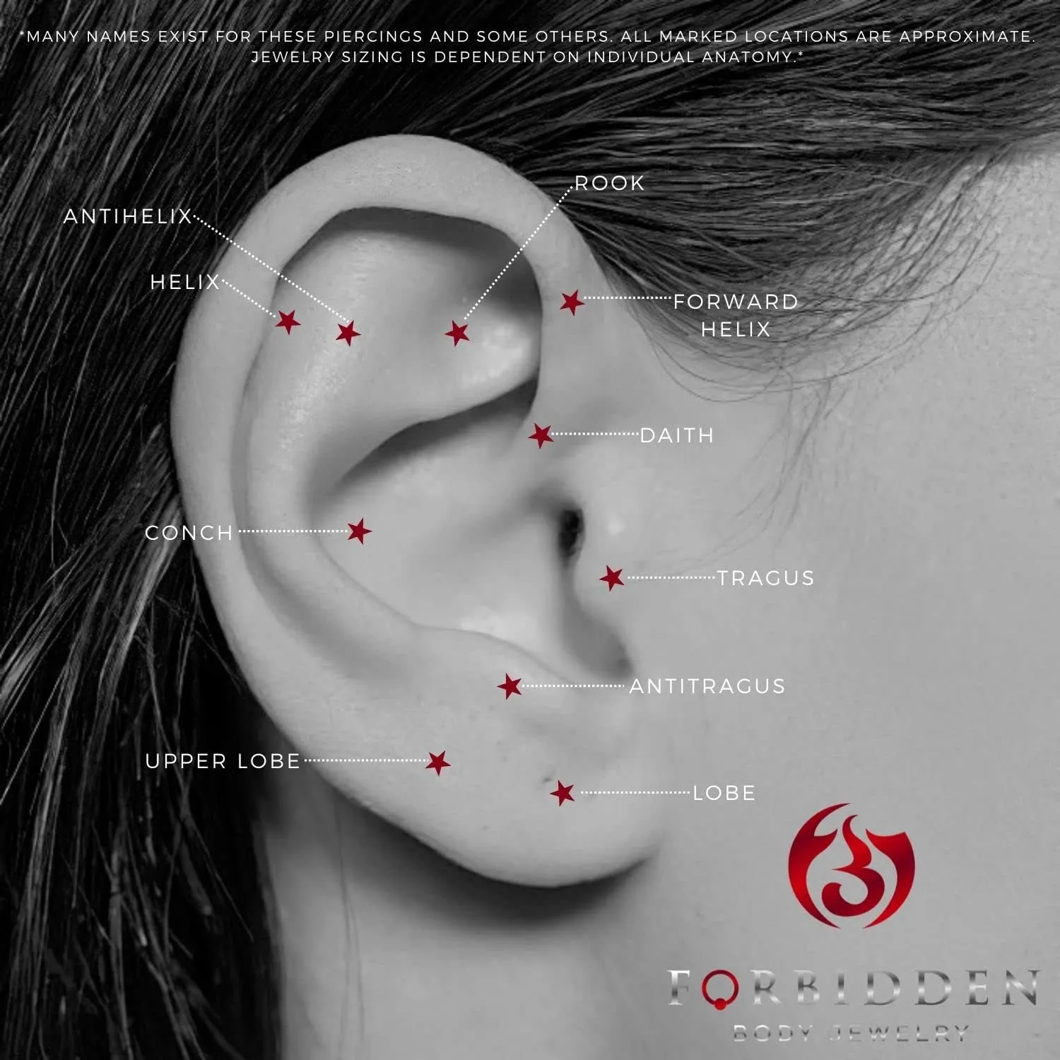 Geo-Shaped Surgical Steel Brushed Finish Stud Earrings