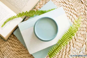 Harbor Silk Mineral Paint